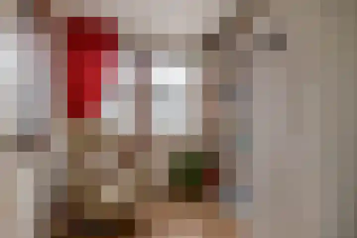 A.M. de Jongstraat 38 Spijkenisse thumbnail 31