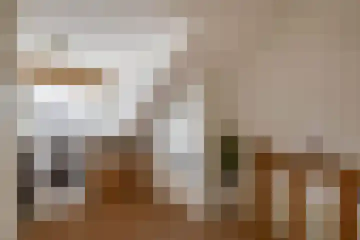 A.M. de Jongstraat 38 Spijkenisse thumbnail 34