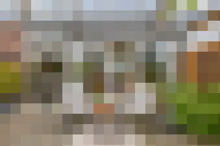 A.M. de Jongstraat 38 Spijkenisse thumbnail 42