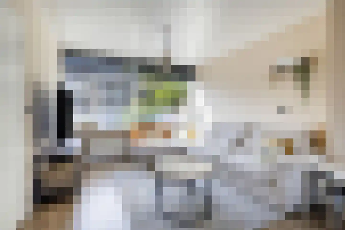 A.M. de Jongstraat 40 Spijkenisse thumbnail 12