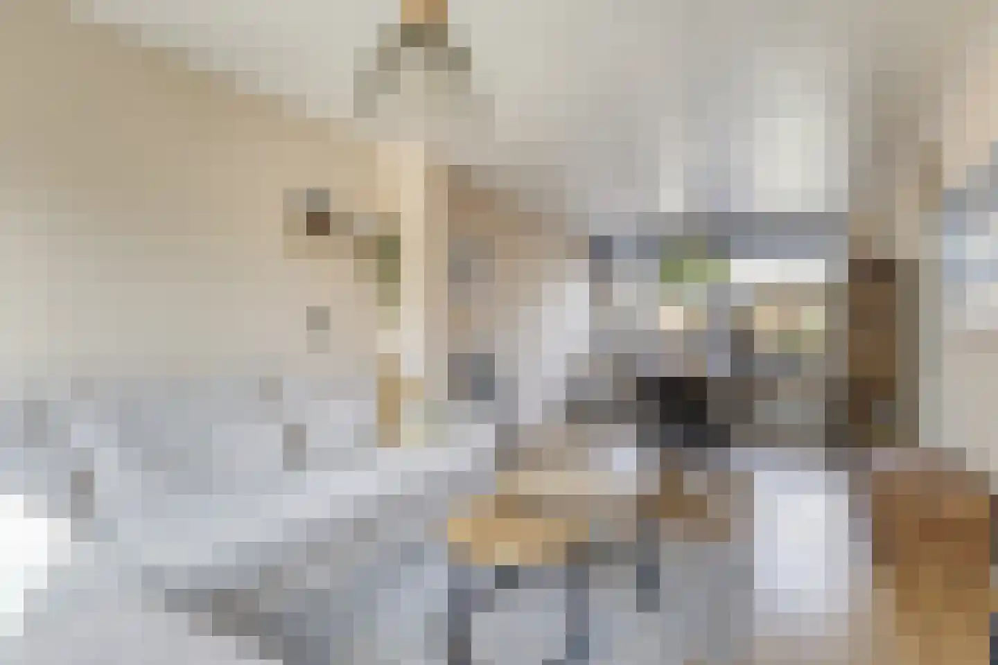 A.M. de Jongstraat 40 Spijkenisse thumbnail 14