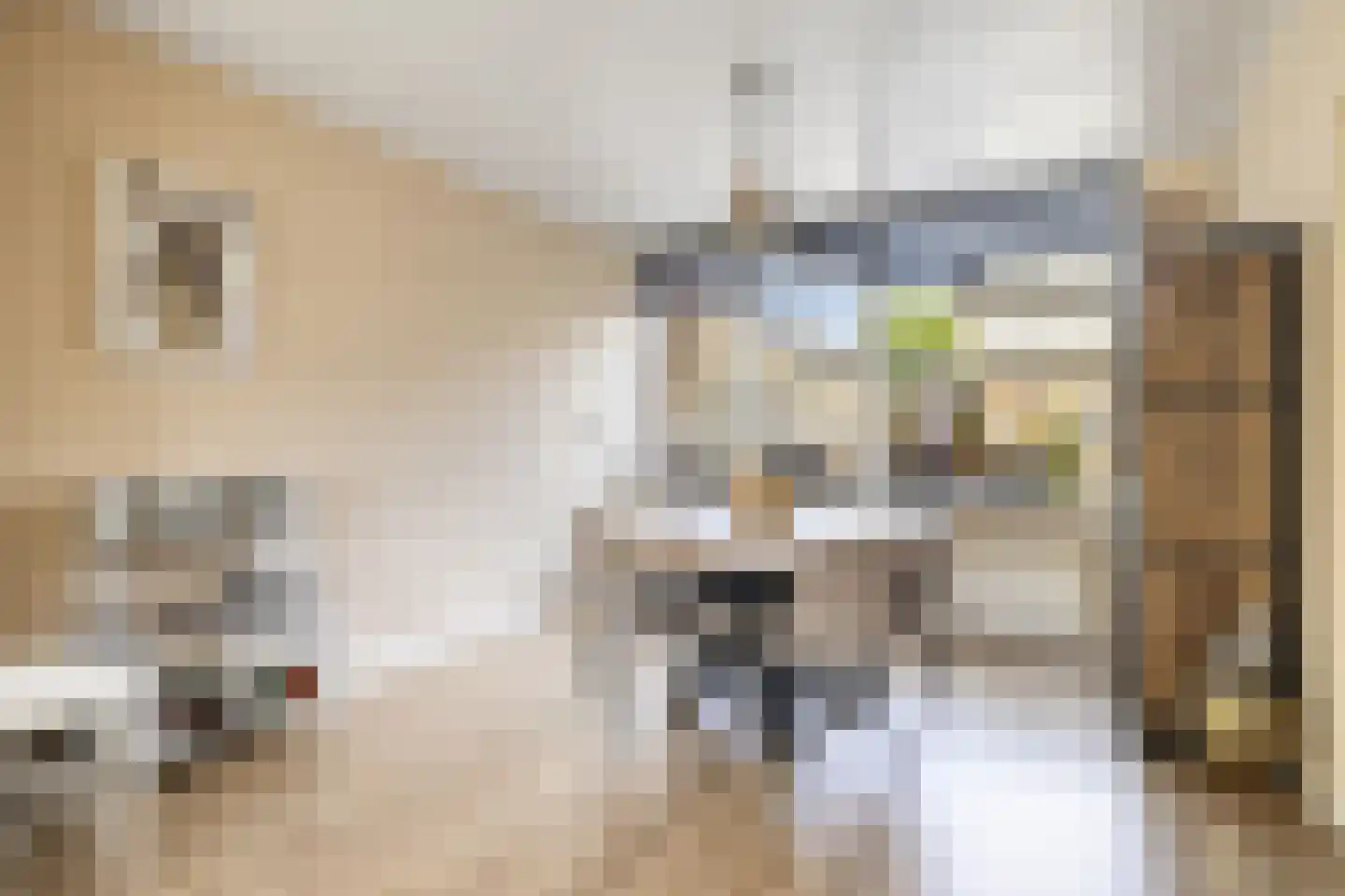 A.M. de Jongstraat 40 Spijkenisse thumbnail 15
