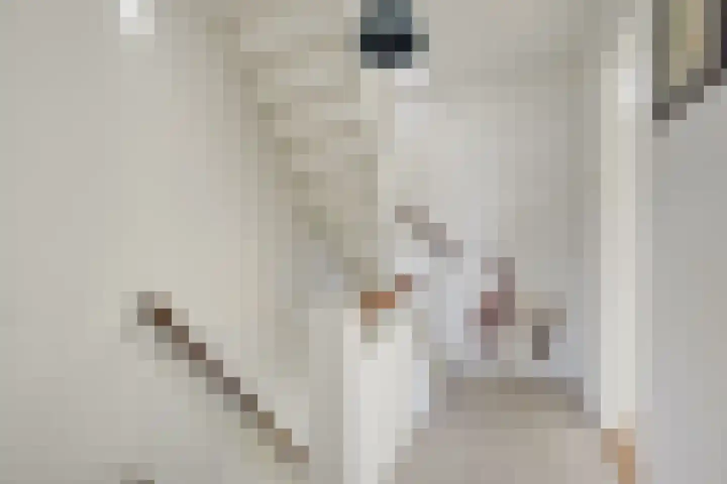 A.M. de Jongstraat 40 Spijkenisse thumbnail 20