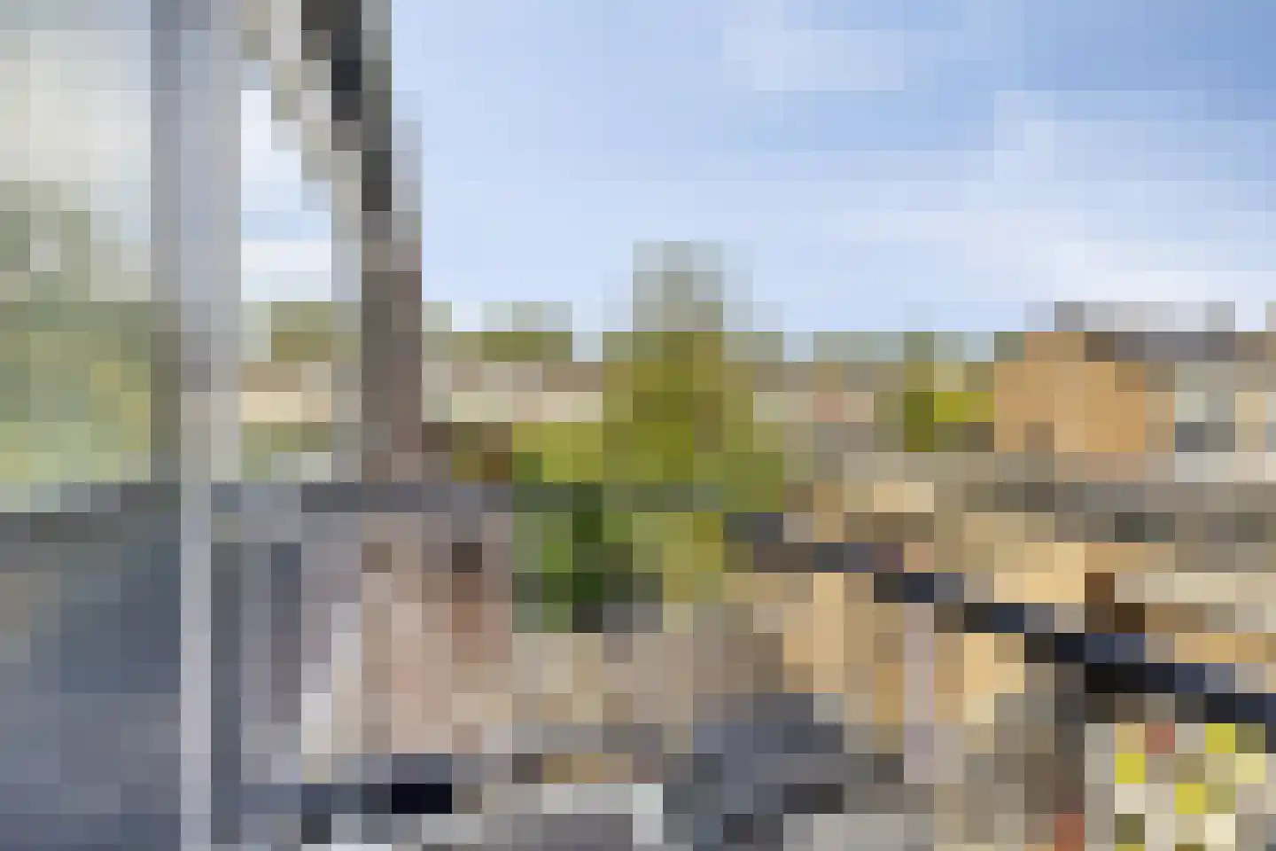 A.M. de Jongstraat 40 Spijkenisse thumbnail 28