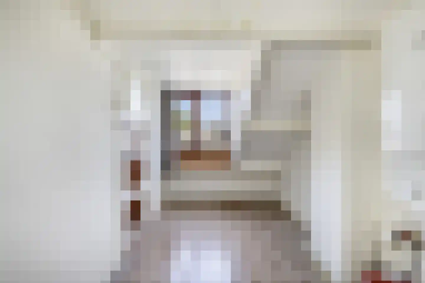A.M. de Jongstraat 40 Spijkenisse thumbnail 30