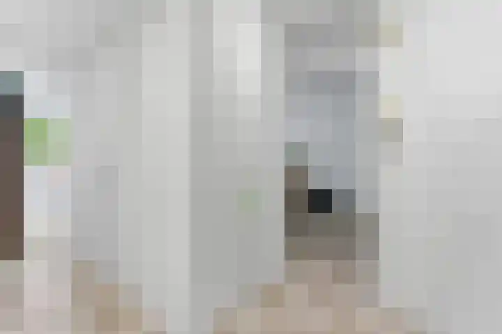 A.M. de Jongstraat 52 Ridderkerk thumbnail 13