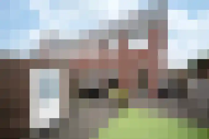 A M de Jongstraat 52 Zegge thumbnail 20