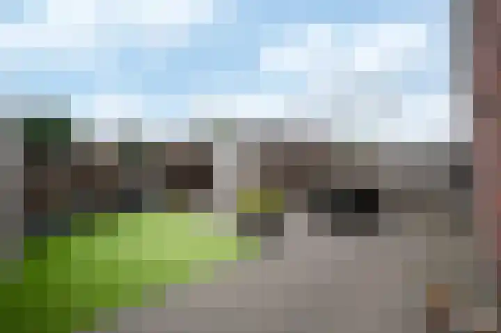 A M de Jongstraat 52 Zegge thumbnail 21