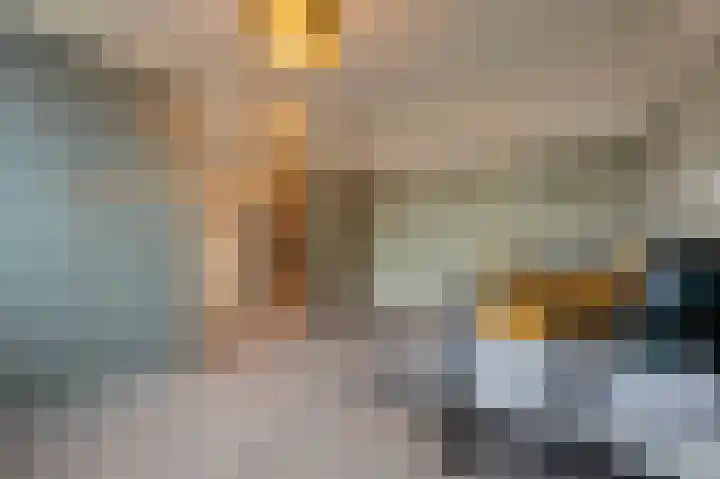 A M de Jongstraat 52 Zegge thumbnail 34
