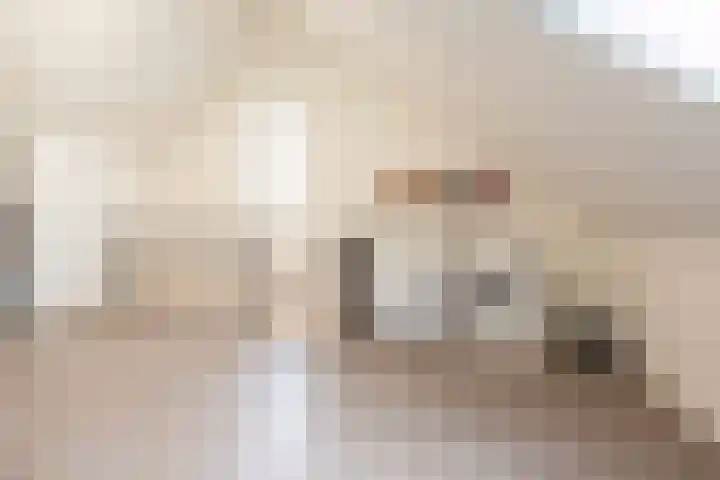 A M de Jongstraat 52 Zegge thumbnail 39