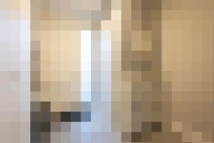 A M de Jongstraat 52 Zegge thumbnail 7