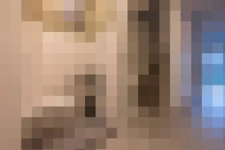 A M de Jongstraat 52 Zegge thumbnail 8
