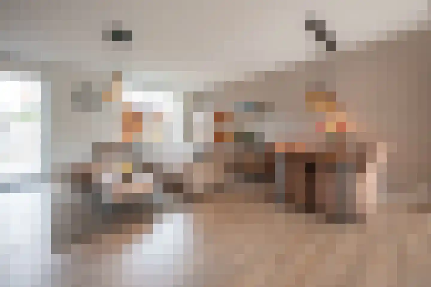 A M de Jongstraat 60 Zegge thumbnail 10