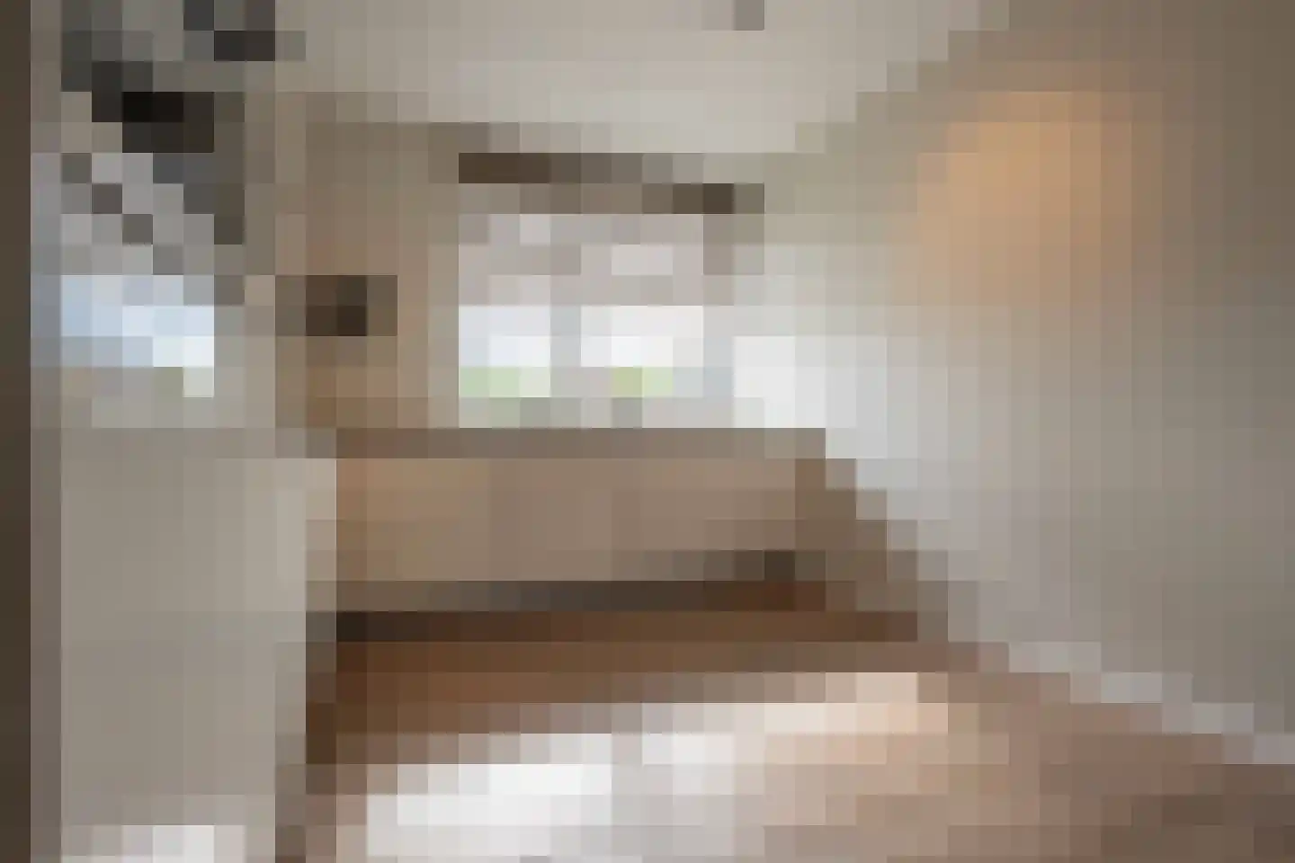 A M de Jongstraat 60 Zegge thumbnail 17