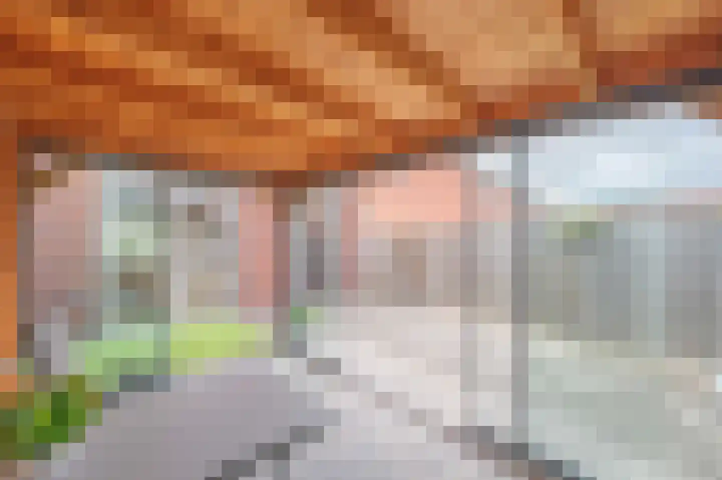 A M de Jongstraat 60 Zegge thumbnail 23