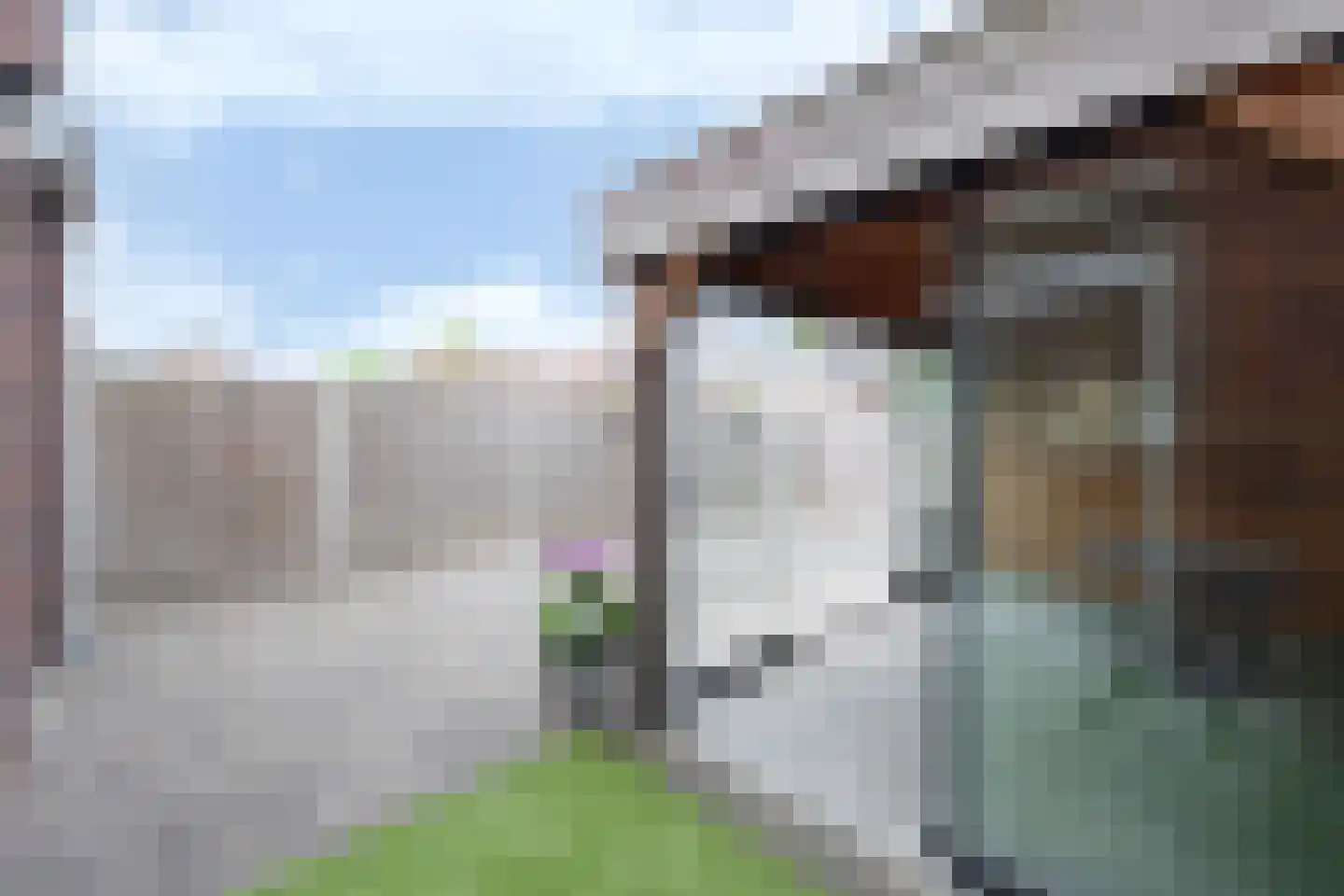 A M de Jongstraat 60 Zegge thumbnail 24