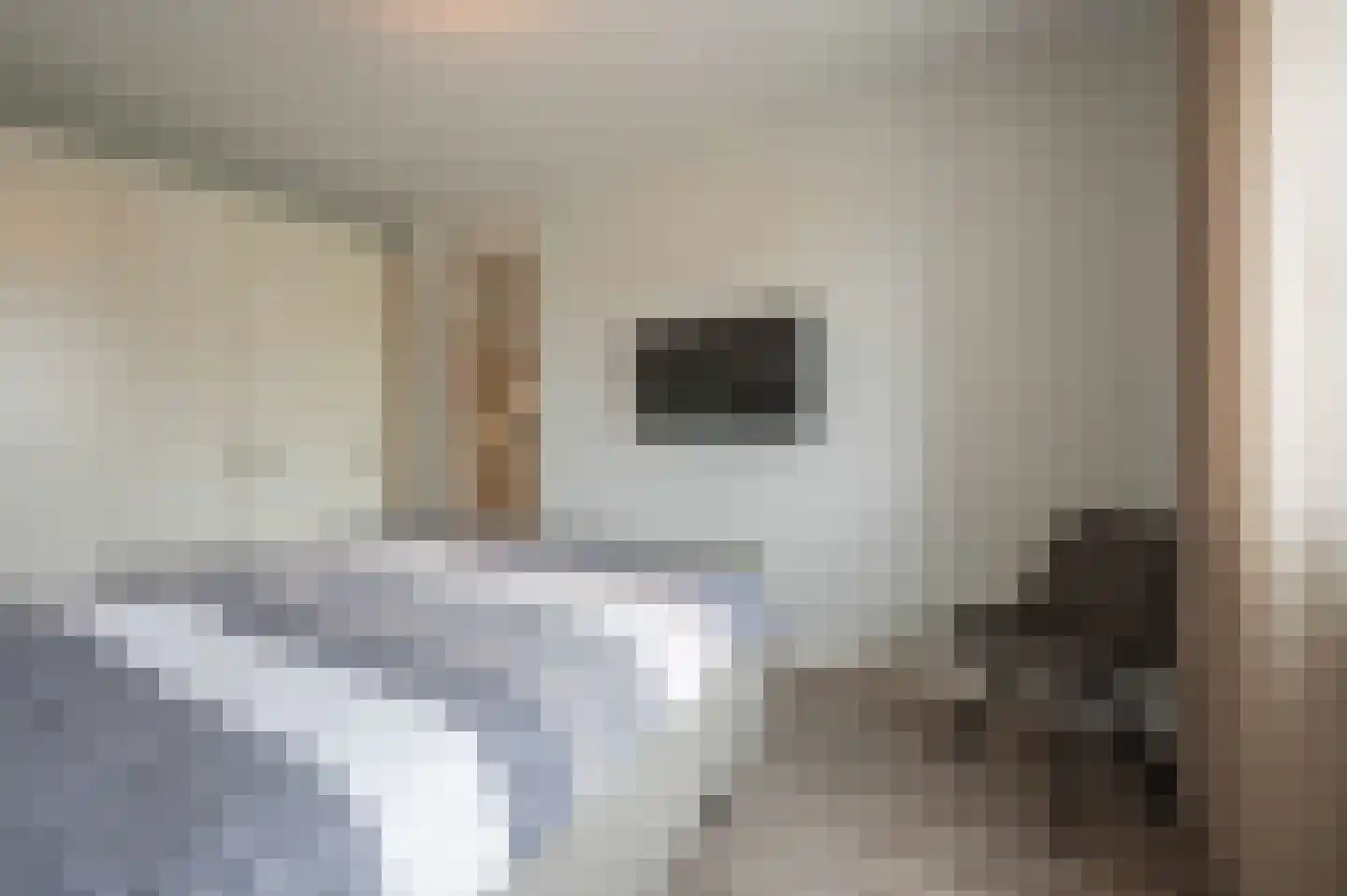 A M de Jongstraat 60 Zegge thumbnail 29