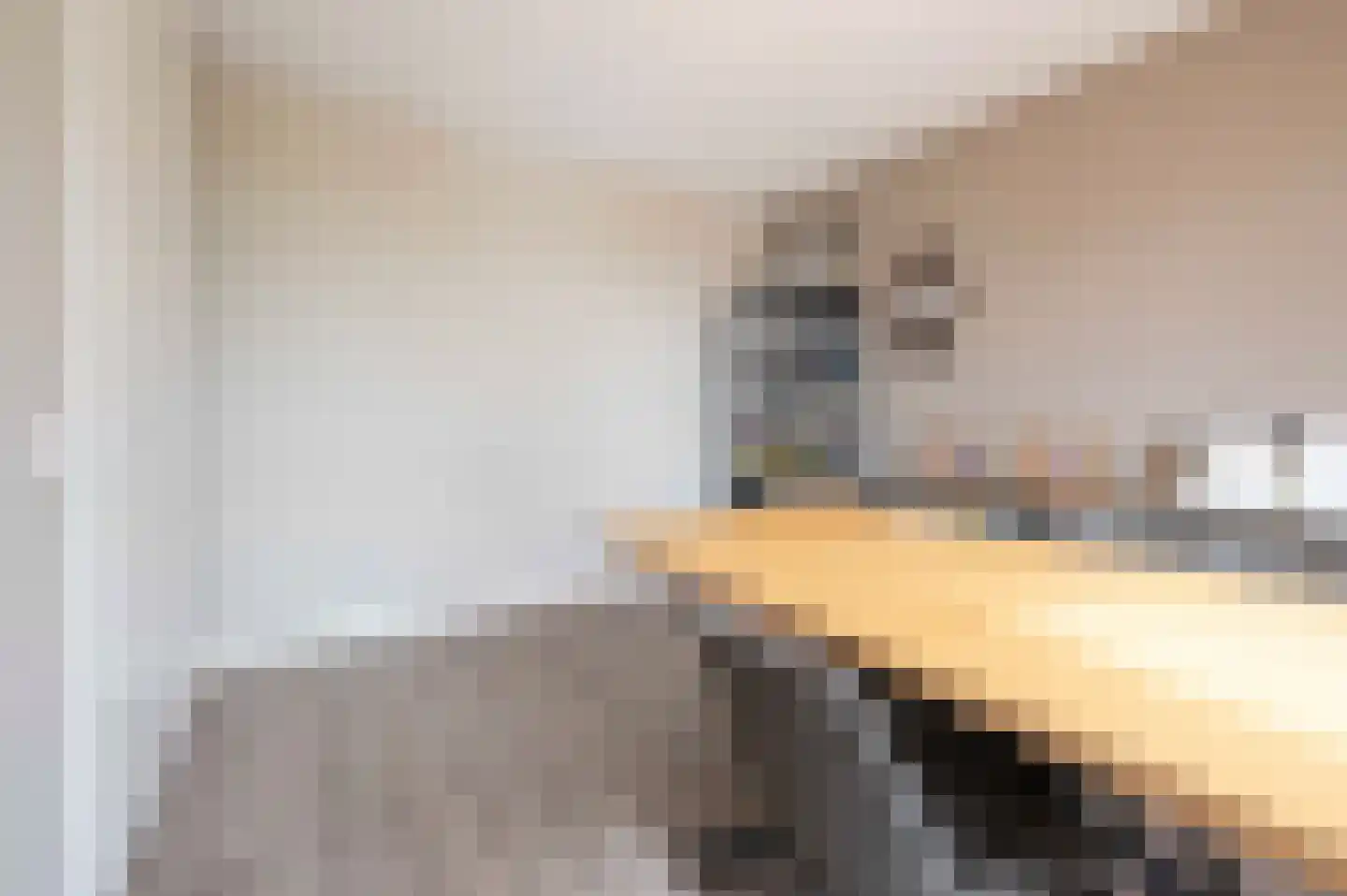 A M de Jongstraat 60 Zegge thumbnail 34