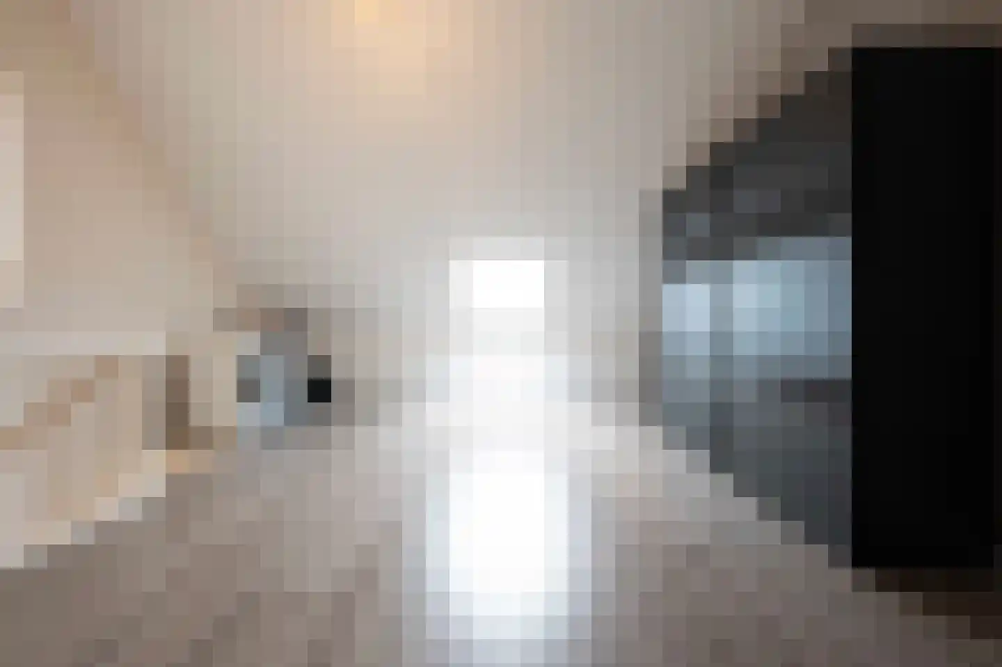 A M de Jongstraat 60 Zegge thumbnail 38