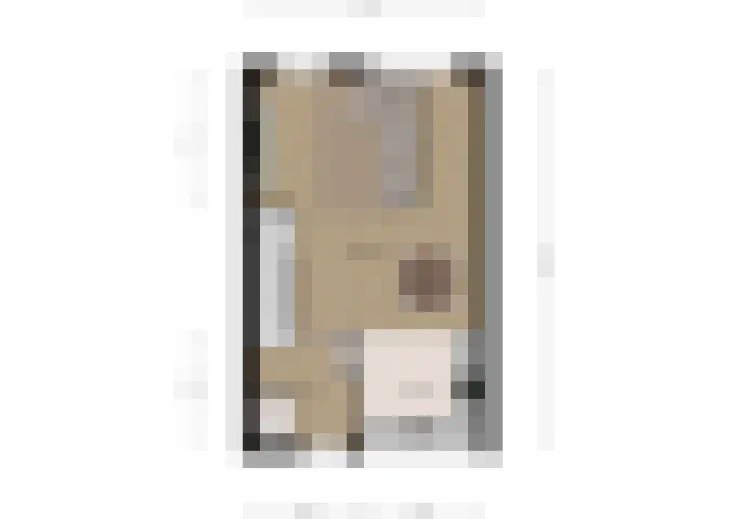 A M de Jongstraat 60 Zegge thumbnail 40