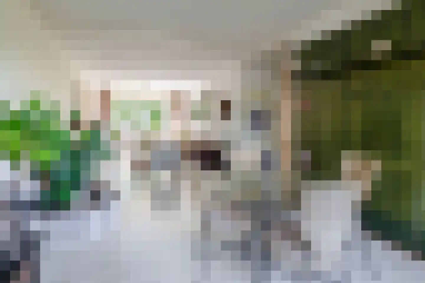 A.M. de Jongstraat 66 Ridderkerk thumbnail 11
