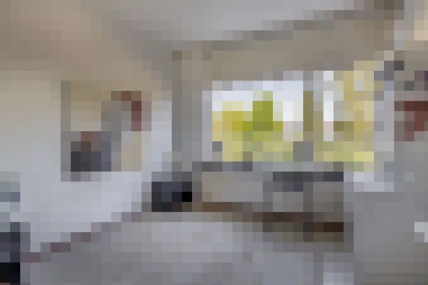 A.M. de Jongstraat 66 Ridderkerk thumbnail 17