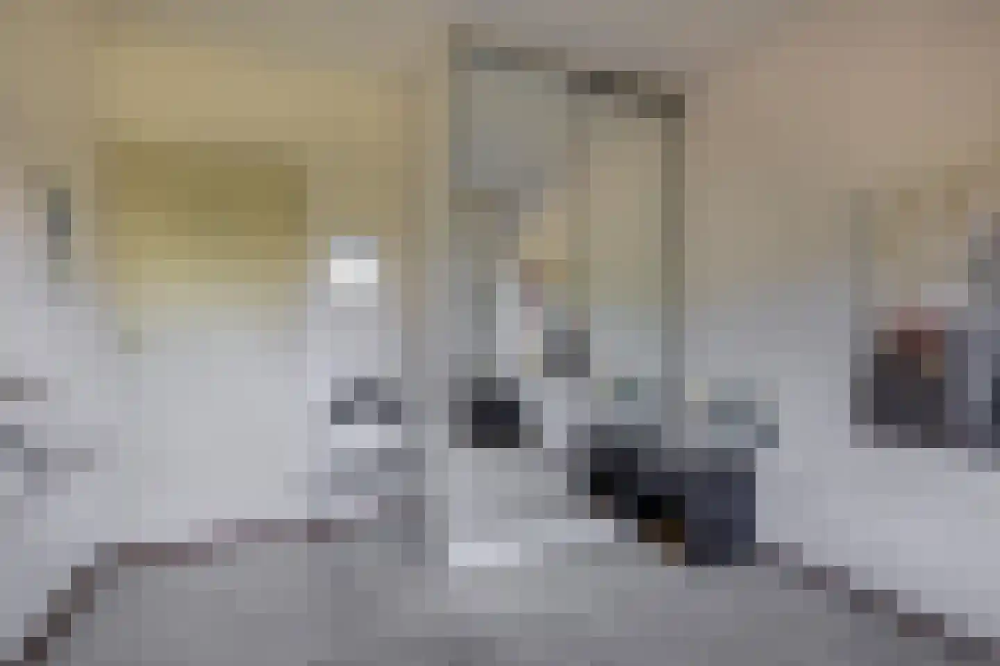 A.M. de Jongstraat 66 Ridderkerk thumbnail 18