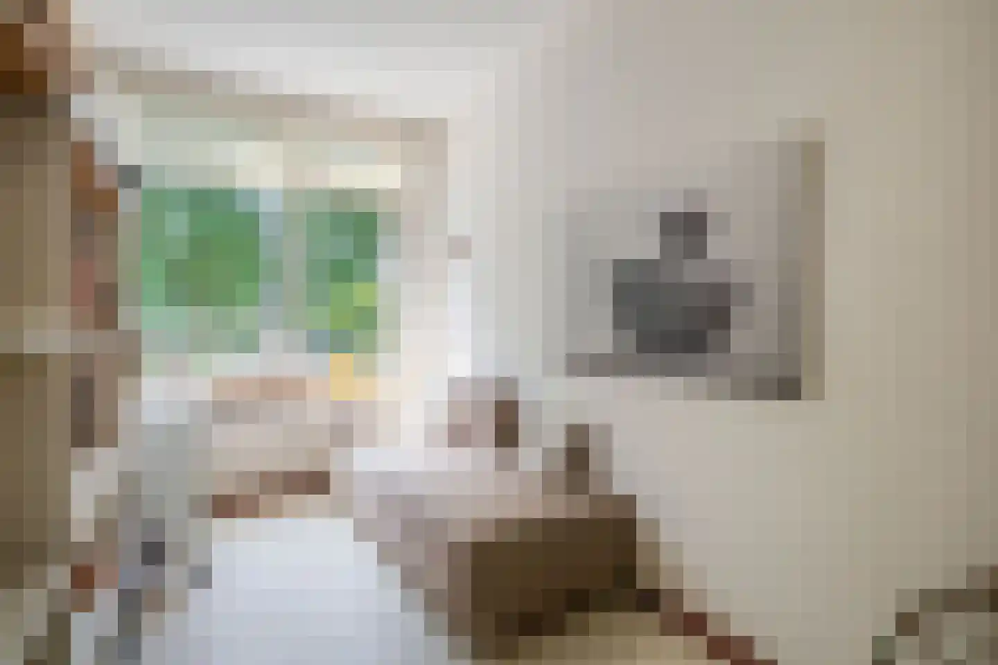 A.M. de Jongstraat 66 Ridderkerk thumbnail 21