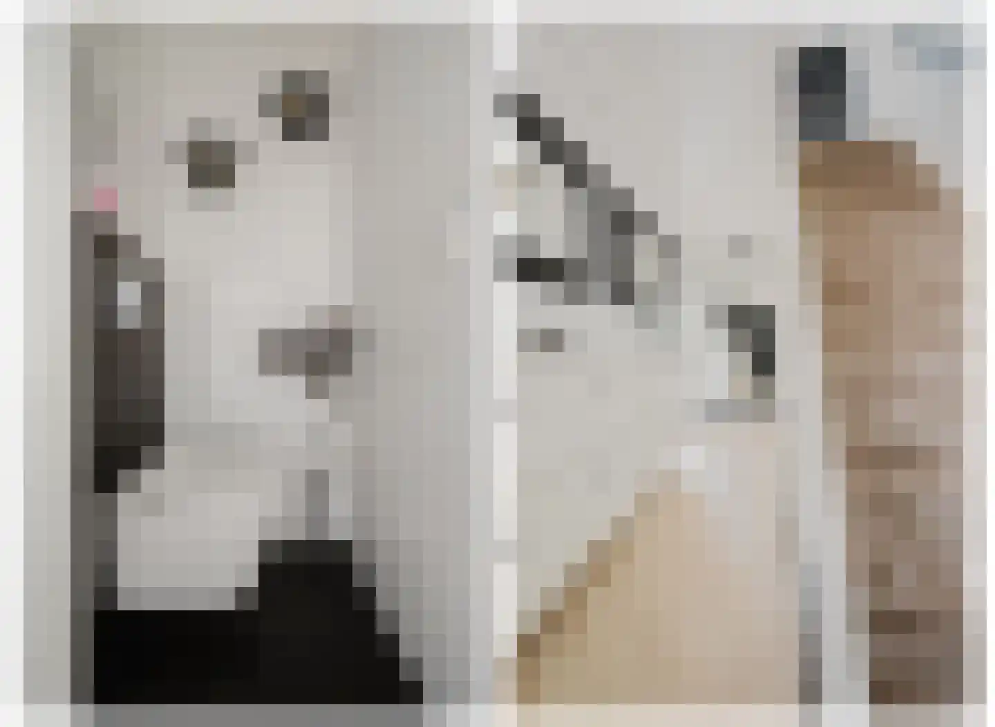 A.M. de Jongstraat 67 Spijkenisse thumbnail 10