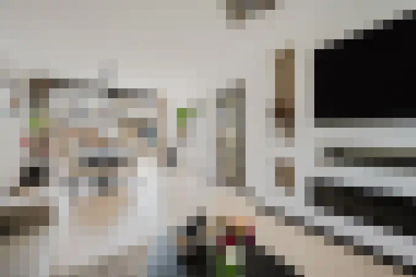 A.M. de Jongstraat 67 Spijkenisse thumbnail 12