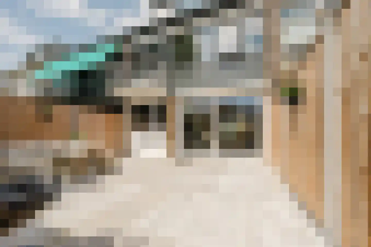 A.M. de Jongstraat 67 Spijkenisse thumbnail 17