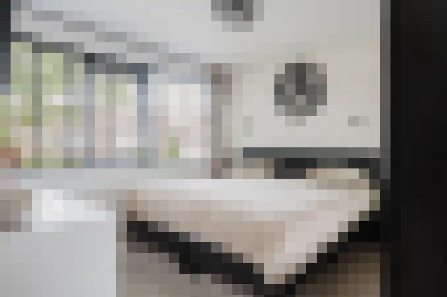 A.M. de Jongstraat 67 Spijkenisse thumbnail 20