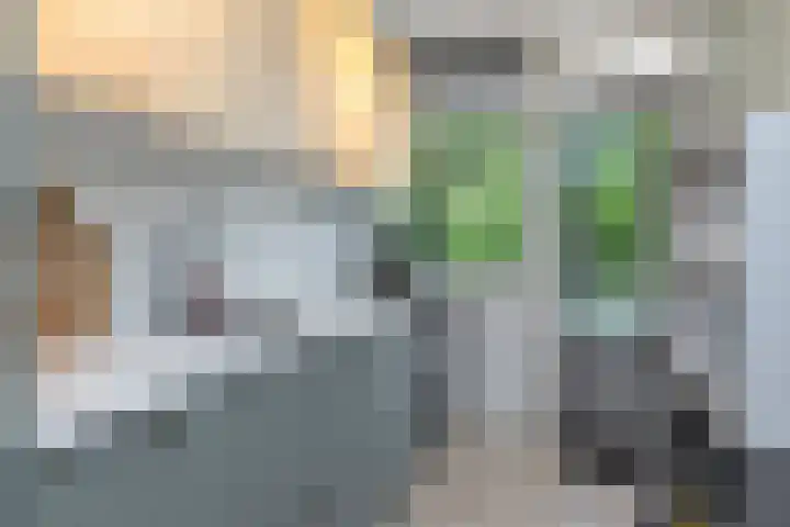 A.M. de Jongstraat 68 Ridderkerk thumbnail 21
