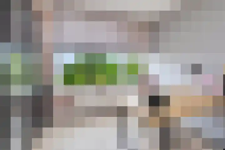 A.M. de Jongstraat 68 Ridderkerk thumbnail 30