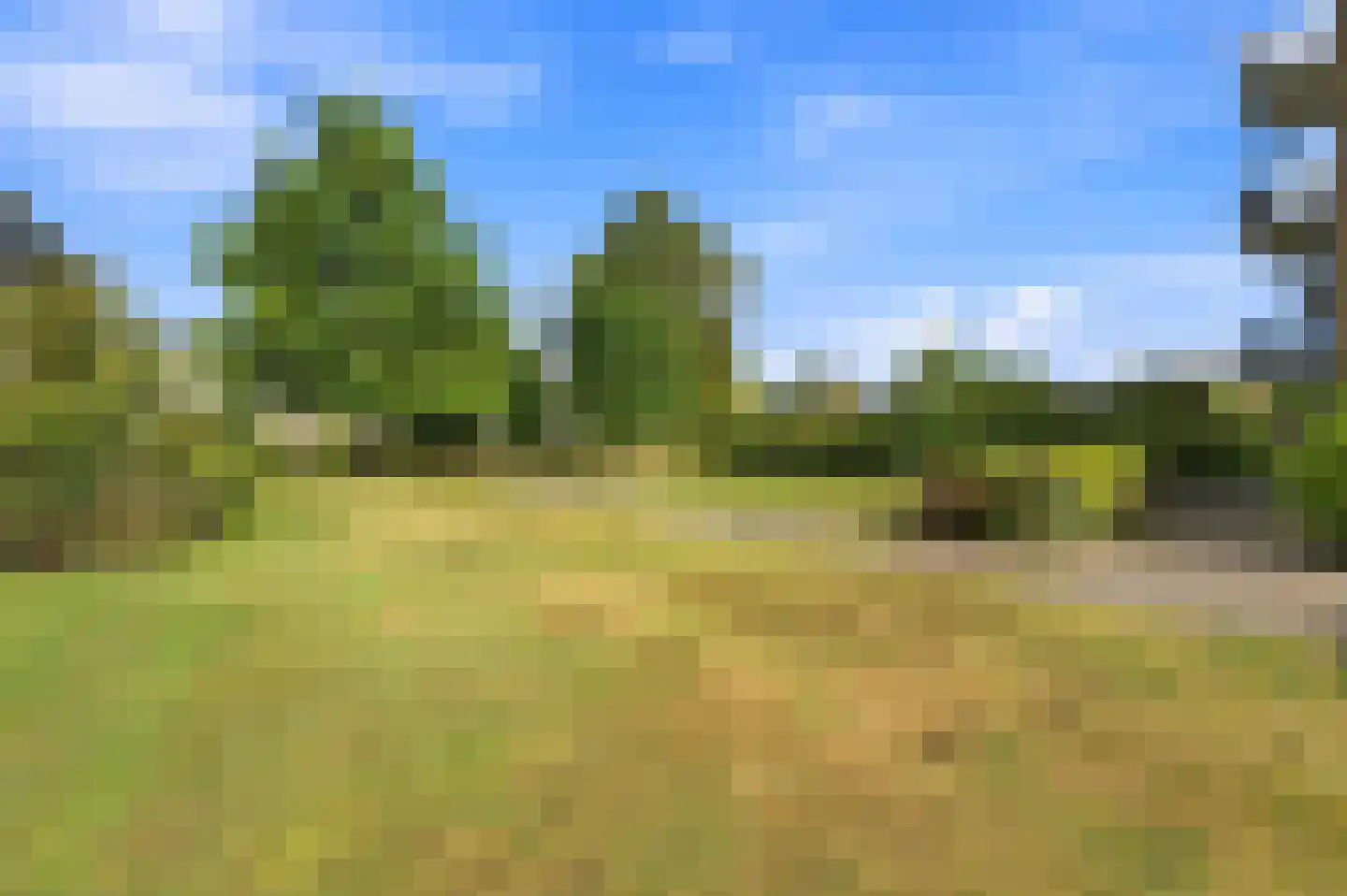 A.M. de Jongstraat 68 Ridderkerk thumbnail 39