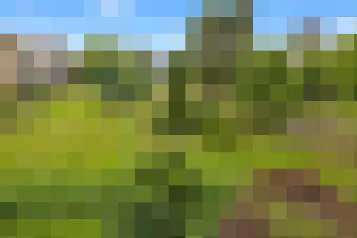 A.M. de Jongstraat 68 Ridderkerk thumbnail 41