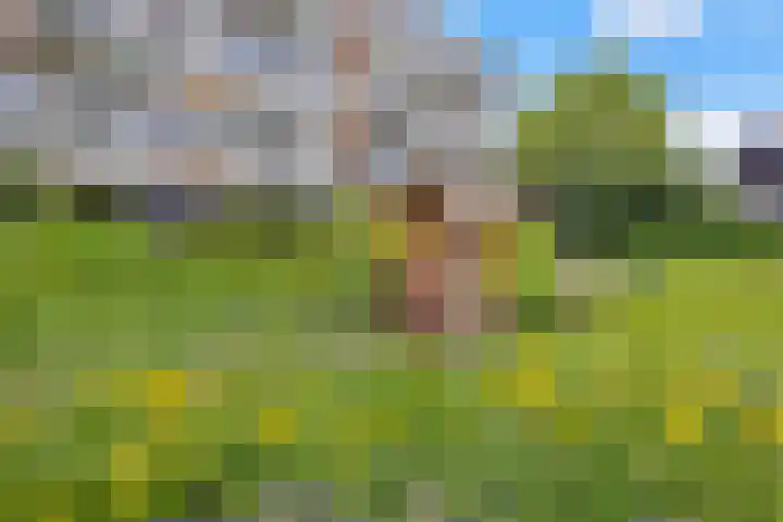 A.M. de Jongstraat 68 Ridderkerk thumbnail 42
