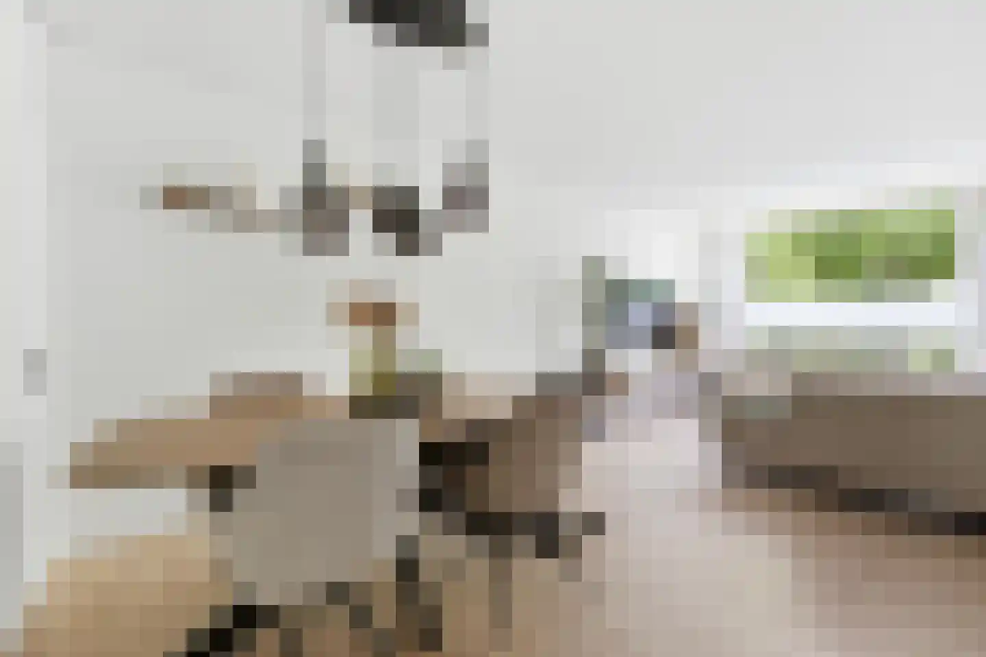 A.M. de Jongstraat 68 Ridderkerk thumbnail 8