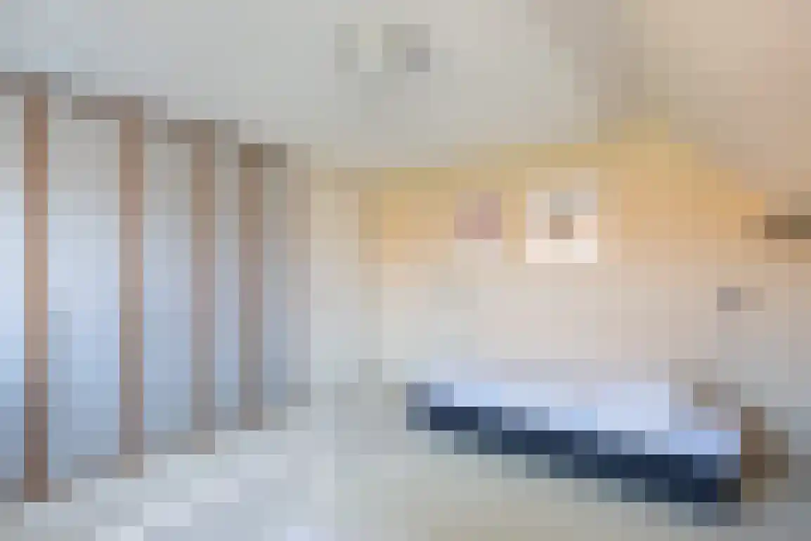 A.M. de Jongstraat 9 Sommelsdijk thumbnail 33