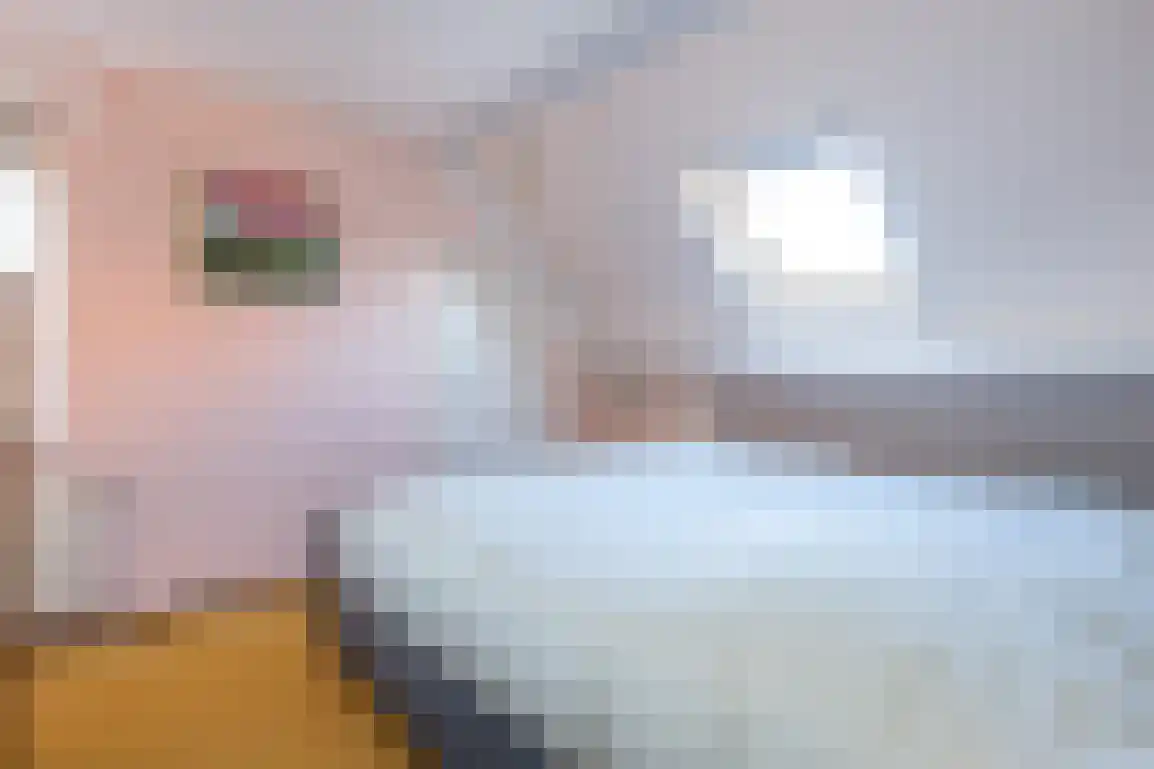 A.M. de Jongstraat 9 Sommelsdijk thumbnail 34