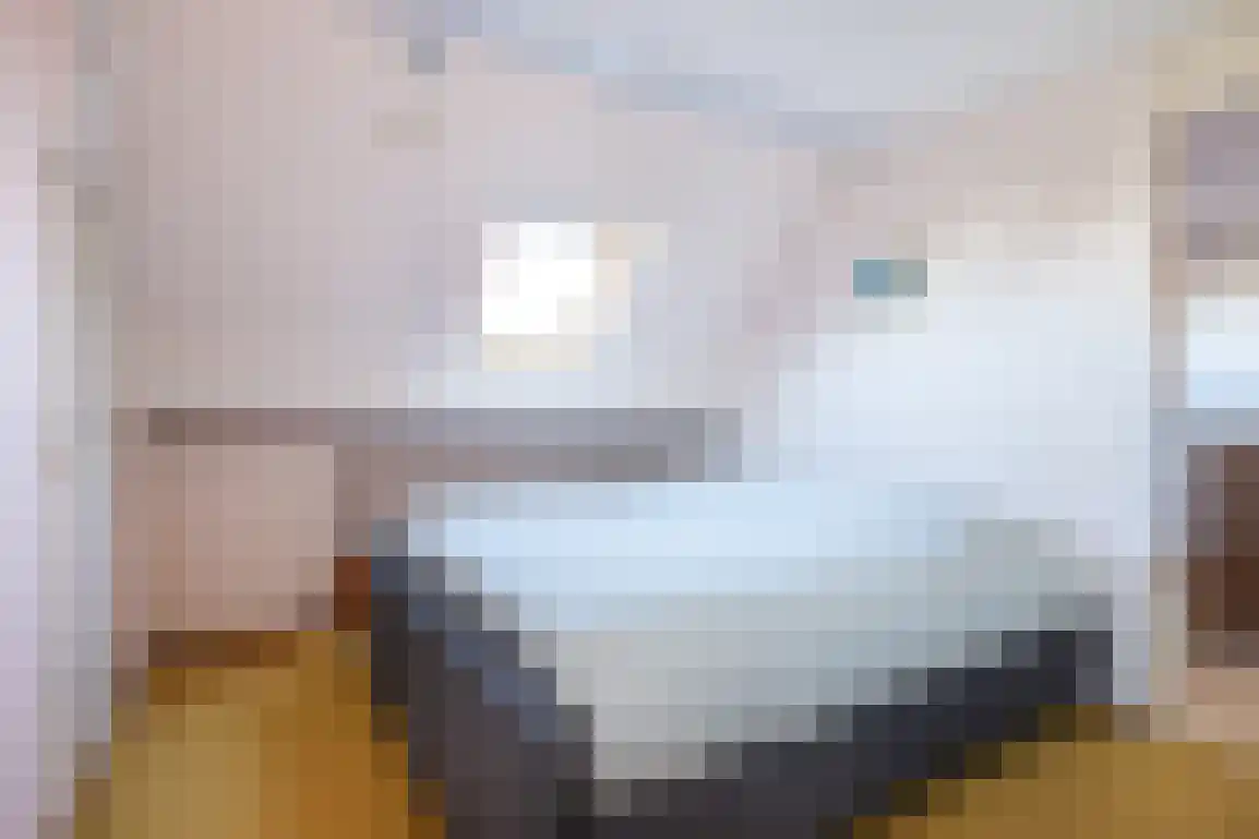 A.M. de Jongstraat 9 Sommelsdijk thumbnail 35