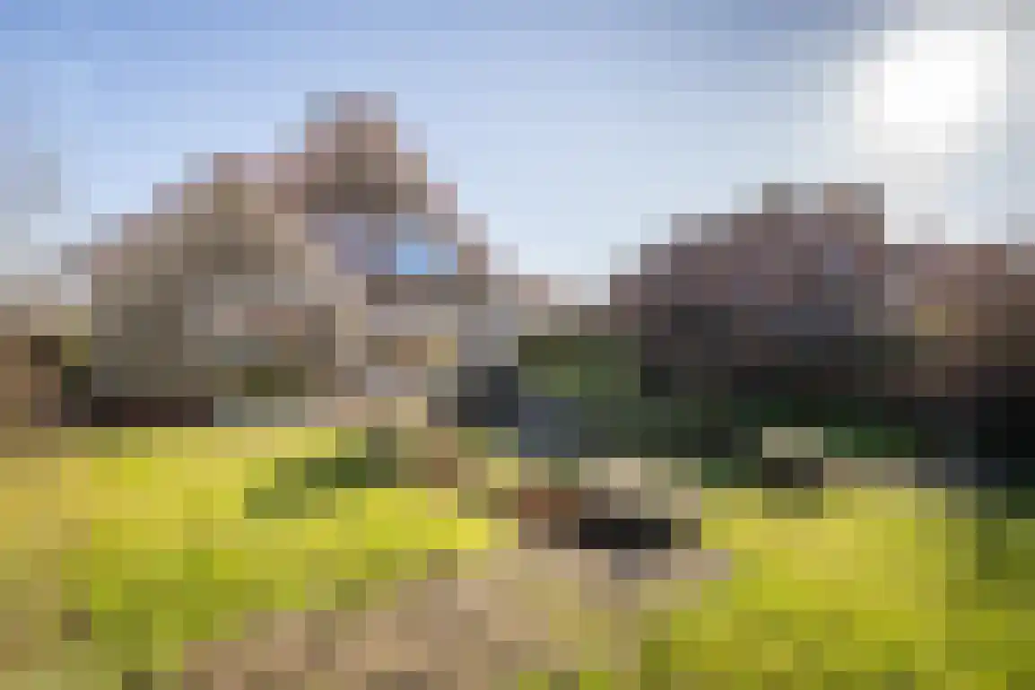 A.M. de Jongstraat 9 Sommelsdijk thumbnail 39