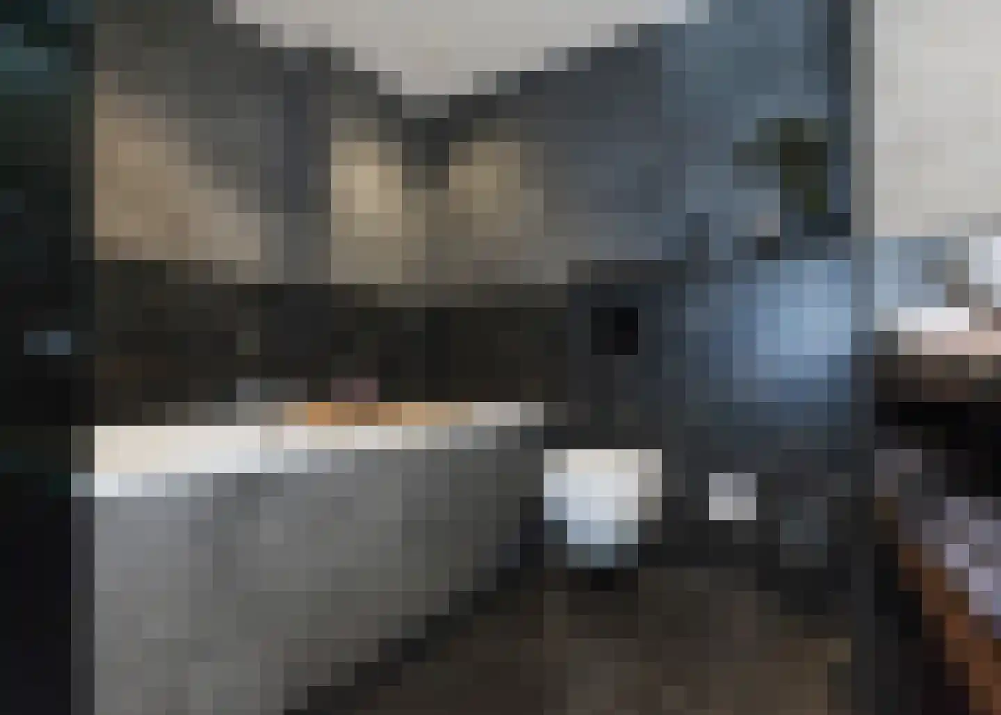 A. Mauvelaan 12 Heerhugowaard thumbnail 18