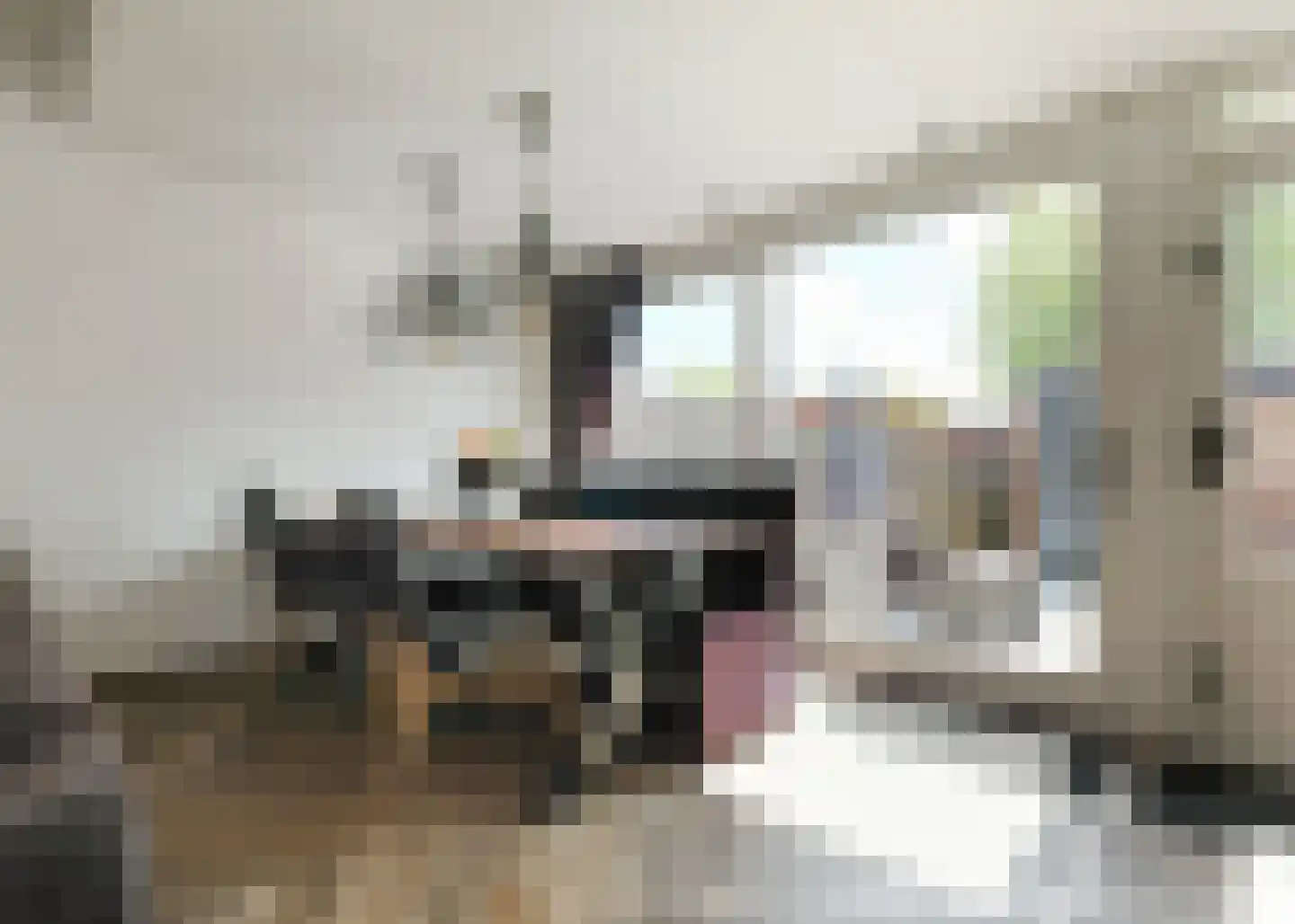 A. Mauvelaan 12 Heerhugowaard thumbnail 5