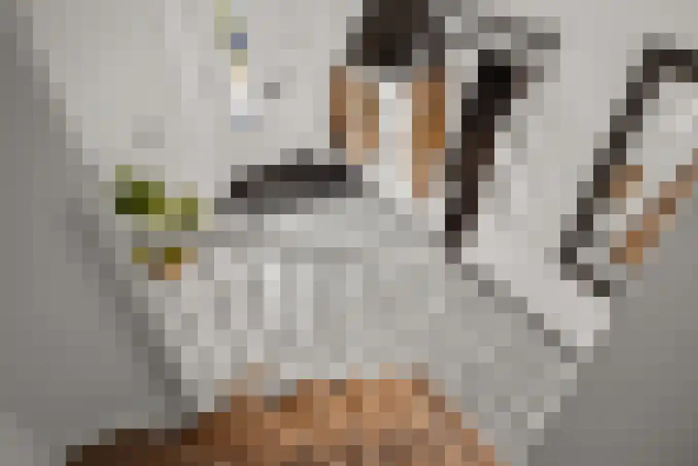 A. Molletstraat 32 Velserbroek thumbnail 31