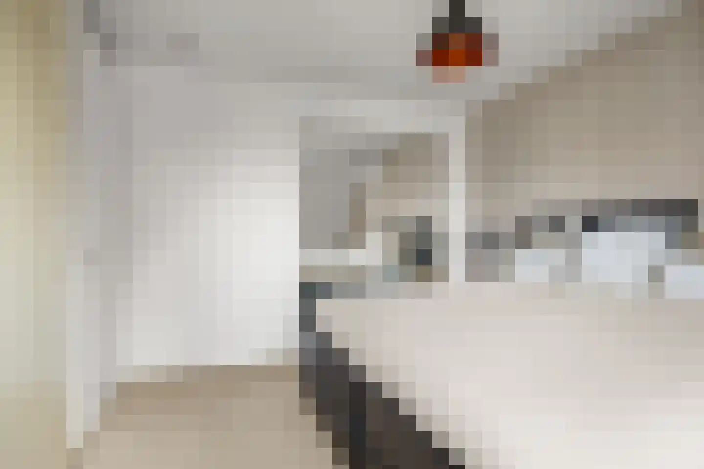 A. Molletstraat 32 Velserbroek thumbnail 32