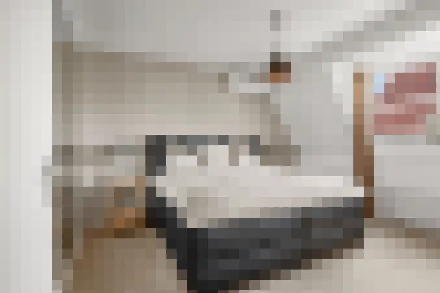 A. Molletstraat 32 Velserbroek thumbnail 6