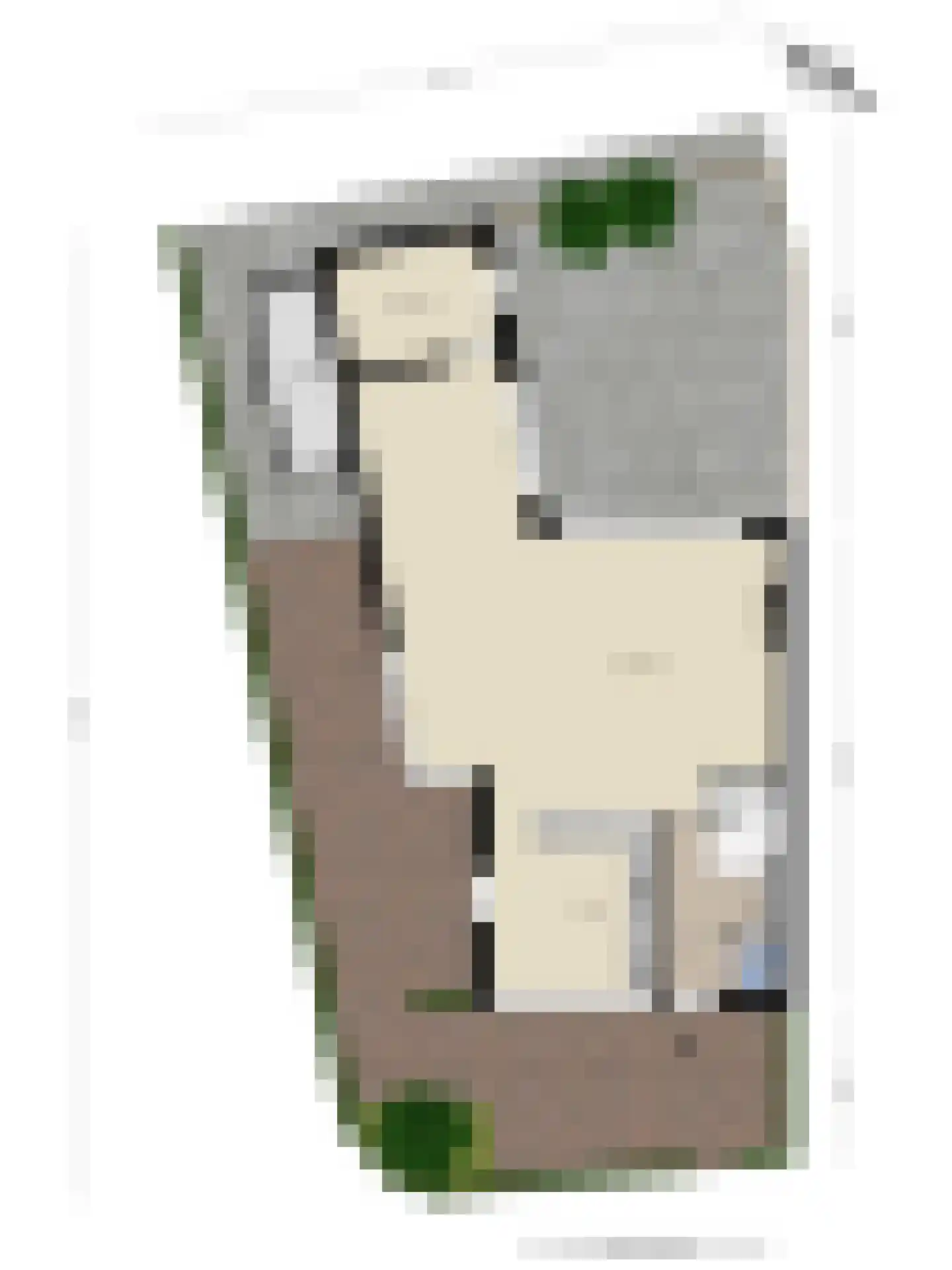 A. Molletstraat 32 Velserbroek thumbnail 62