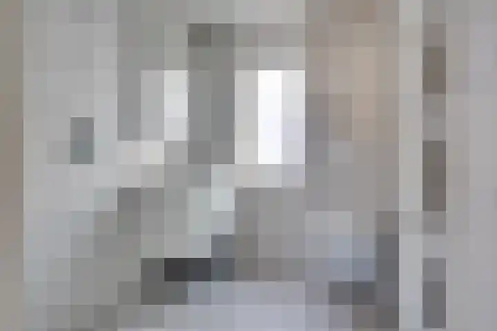 A.N.van Pellecomhof 10 Kortenhoef thumbnail 19