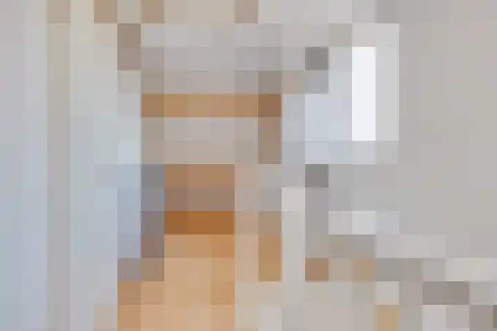 A.N.van Pellecomhof 10 Kortenhoef thumbnail 23